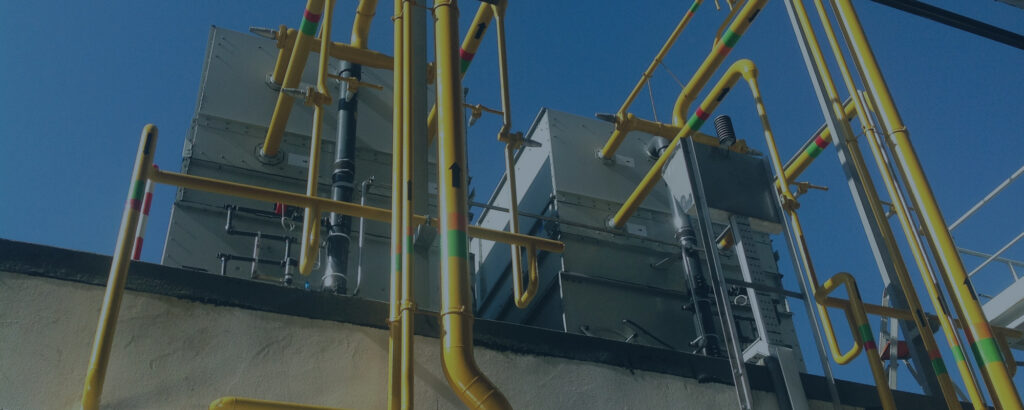 sectores agro alimentar