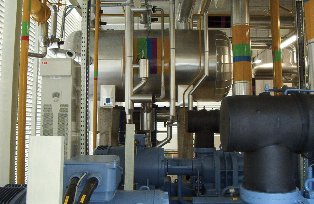 sectores agro alimentar