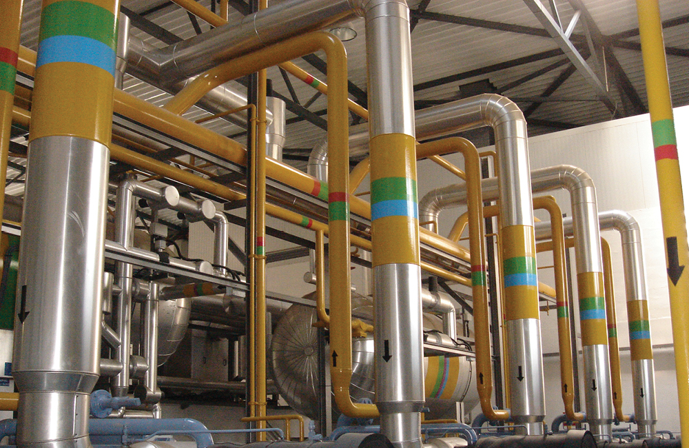 sectores lacticínios